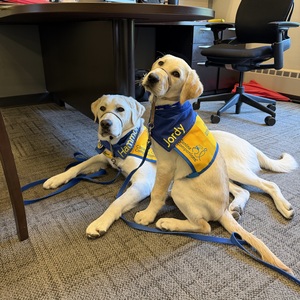 Staicey McGinnis & future service dogs, Hammond III & Jordy IV